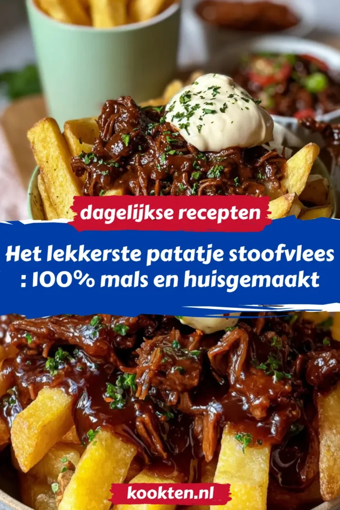 Het lekkerste patatje stoofvlees: 100% mals en huisgemaakt Het lekkerste patatje stoofvlees: 100% mals en huisgemaakt