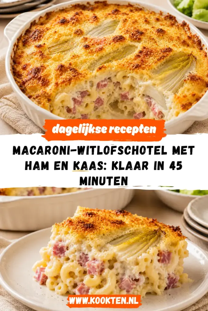 Macaroni-witlofschotel met ham en kaas receptfoto van het gerecht